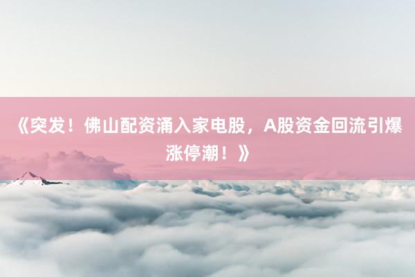 《突发！佛山配资涌入家电股，A股资金回流引爆涨停潮！》