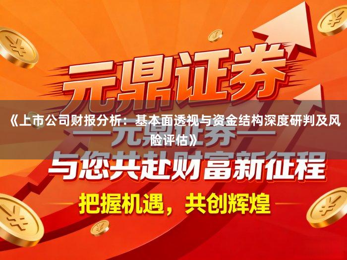 《上市公司财报分析：基本面透视与资金结构深度研判及风险评估》