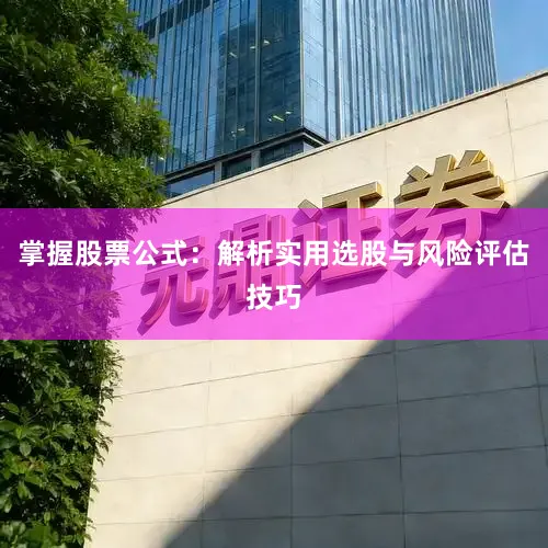 掌握股票公式：解析实用选股与风险评估技巧