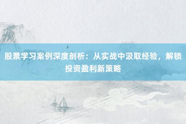 股票学习案例深度剖析：从实战中汲取经验，解锁投资盈利新策略