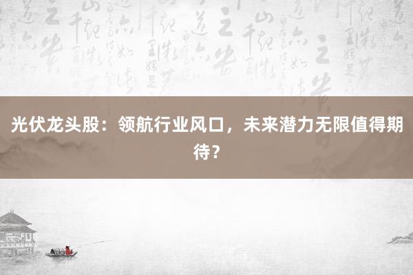 光伏龙头股：领航行业风口，未来潜力无限值得期待？