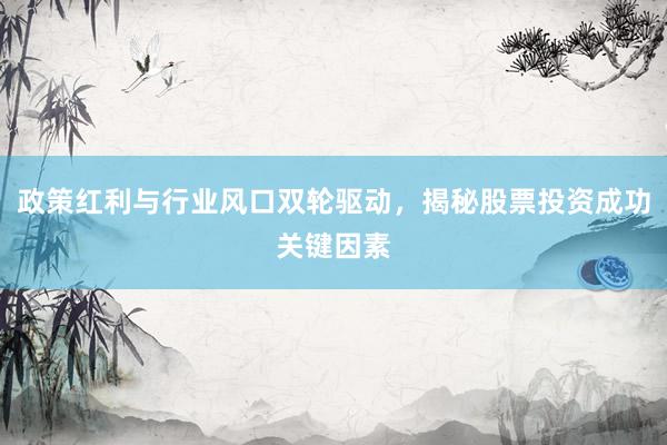政策红利与行业风口双轮驱动，揭秘股票投资成功关键因素