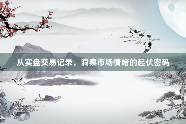 从实盘交易记录，洞察市场情绪的起伏密码