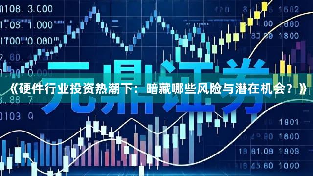 《硬件行业投资热潮下：暗藏哪些风险与潜在机会？》