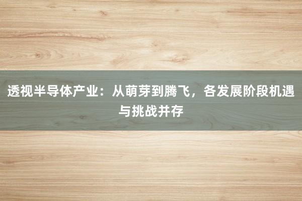 透视半导体产业：从萌芽到腾飞，各发展阶段机遇与挑战并存