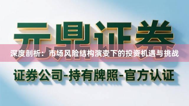 深度剖析：市场风险结构演变下的投资机遇与挑战
