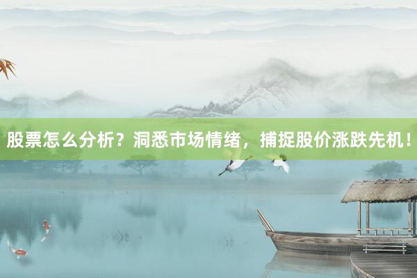股票怎么分析?洞悉市场情绪,捕捉股价涨跌先机!