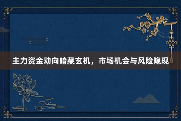 主力资金动向暗藏玄机，市场机会与风险隐现
