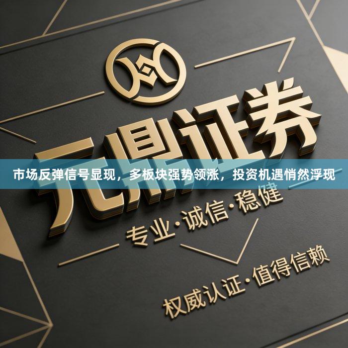 市场反弹信号显现，多板块强势领涨，投资机遇悄然浮现