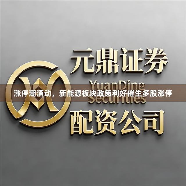 涨停潮涌动，新能源板块政策利好催生多股涨停