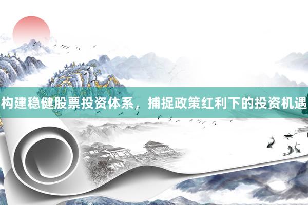 构建稳健股票投资体系，捕捉政策红利下的投资机遇