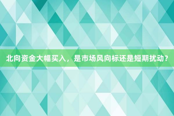 北向资金大幅买入,是市场风向标还是短期扰动?