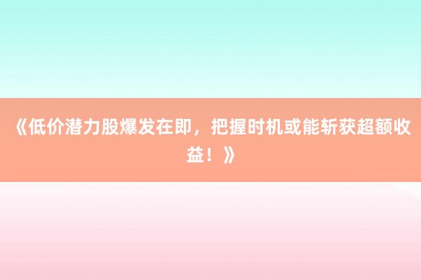 《低价潜力股爆发在即，把握时机或能斩获超额收益！》
